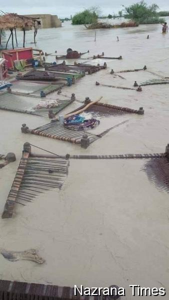 Catastrophic Floods Displace Millions as Sindh Faces Imminent Threat