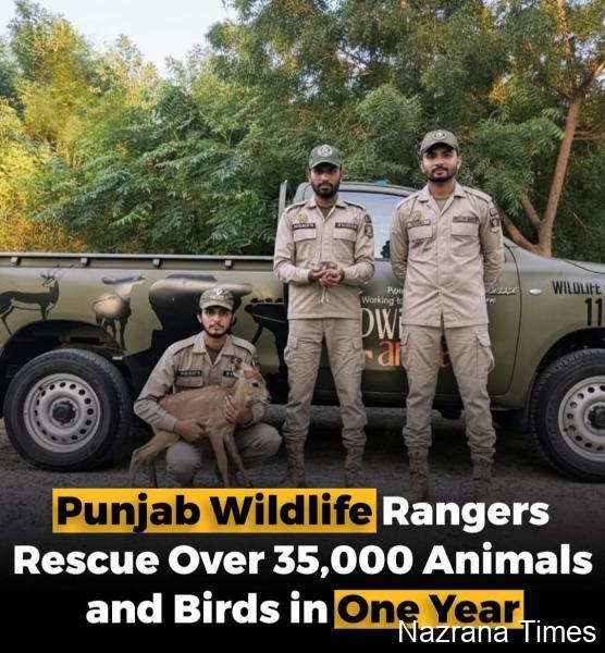 Punjab Wildlife Rangers Rescue 35,000+ Animals, Crack Down on Illegal Trade