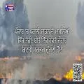 ਪੰਜਾਬ 'ਚ ਪਰਾਲੀ ਸਾੜਨ ਦੇ ਮਾਮਲਿਆਂ ਵਿੱਚ ਤੇਜ਼ੀ: ਬੀਤੇ ਇੱਕ ਹਫ਼ਤੇ ਦੌਰਾਨ ਗਿਣਤੀ ਲਗਭਗ ਦੁੱਗਣੀ ਹੋਈ
