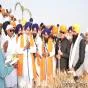 Sikh Pilgrims Harvest Wheat at Kartarpur Shrine, Celebrating Vaisakhi