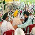 ਪੰਜਾਬ ਦੀ ਮਿਨੀ ਰਾਜਧਾਨੀ ਮੋਹਾਲੀ ਸ਼ਹਿਰ 'ਚ ਦਰੱਖਤਾਂ ਦੀ ਕਟਾਈ ਖ਼ਿਲਾਫ਼ ਵਾਤਾਵਰਨ ਪ੍ਰੇਮੀ ਹੋਏ ਇੱਕ ਮੰਚ 'ਤੇ ਇਕੱਤਰ