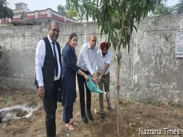 कोर्ट कॉम्प्लेक्स में प्रशासनिक अधिकारियों ने लगाए फलदार पौधे