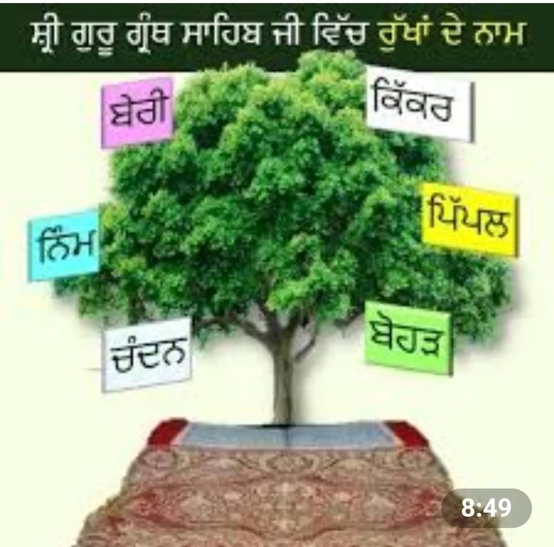 *ਰੁੱਖਾਂ ਦੀ ਛਬੀਲ* - ਕਵਿਤਾ - ਸੋਧ ਸਿੰਘ ਬਾਜ਼ - 9041301984