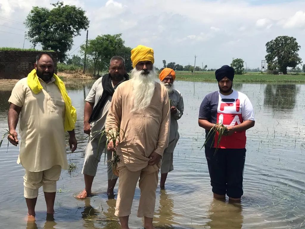 ਬਰਸਾਤ ਦੇ ਪਾਣੀ ਦੀ ਨਿਕਾਸੀ ਨਾ ਹੋਣ ਕਾਰਨ ਕਰੀਬ ਸੱਠ ਏਕੜ ਫ਼ਸਲ ਹੋਈ ਖ਼ਰਾਬ