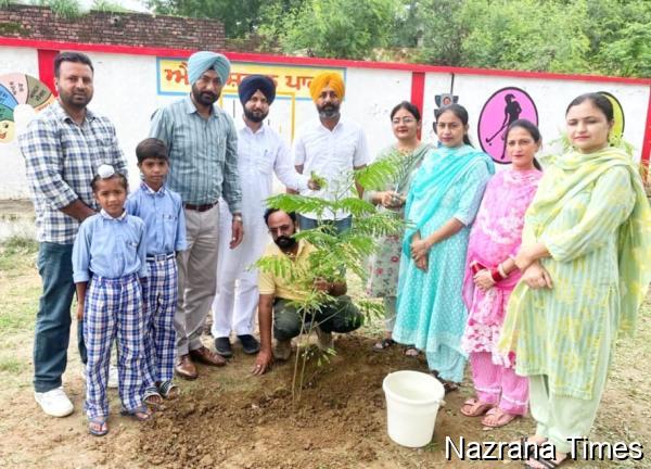 'ਇਕ ਪੇੜ ਮਾਂ ਕੇ ਨਾਮ' ਤਹਿਤ ਸਕੂਲ 'ਚ ਲਗਾਇਆ ਬੂਟਾ