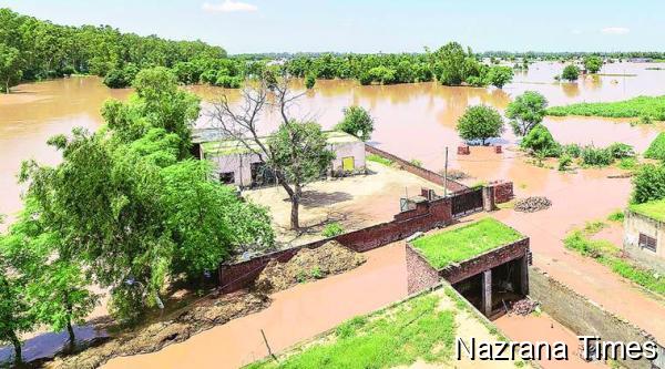 पंजाब बाढ़ संकट: मौतों का आँकड़ा 800 पार, राहत व बचाव कार्य जारी