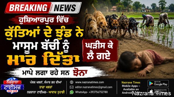 Breaking ਹੁਸ਼ਿਆਰਪੁਰ ਵਿੱਚ ਕੁੱਤਿਆਂ ਦੇ ਝੁੰਡ ਨੇ ਮਾਸੂਮ ਬੱਚੀ ਨੂੰ ਮਾਰ ਦਿੱਤਾ, ਘੜੀਸ ਕੇ ਲੈ ਗਏ, ਮਾਪੇ ਲਗਾ ਰਹੇ ਸਨ ਝੋਨਾ