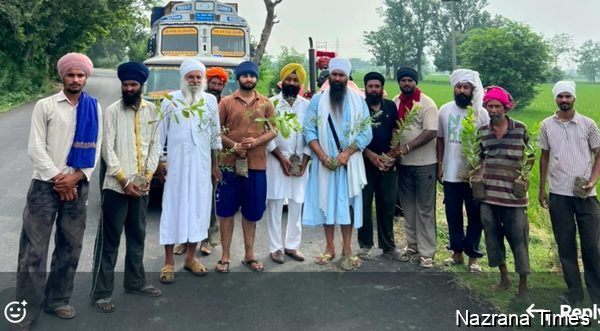 ਸੰਪਰਦਾਇ ਕਾਰ ਸੇਵਾ ਸਰਹਾਲੀ ਸਾਹਿਬ ਵੱਲੋਂ ਸਰਹਾਲੀ ਤੋਂ ਪੱਟੀ ਲਿੰਕ ਸੜਕ ਤੇ ਪੌਦੇ ਲਗਾਉਣ ਦੀ ਸੇਵਾ ਜਾਰੀ