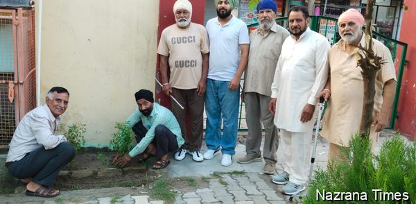 ਅਜੀਤ ਨਗਰ ਪਾਰਕ ਵਿੱਚ ਤੁਲਸੀ ਦੇ ਬੂਟੇ ਲਗਾਏ ਗਏ