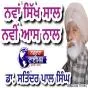 ਨਵਾਂ ਸਿੱਖ ਸਾਲ ਨਵੀਂ ਆਸ ਨਾਲ  — ਡਾ. ਸਤਿੰਦਰ ਪਾਲ ਸਿੰਘ
